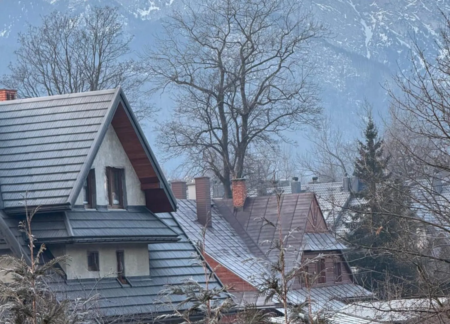 Owieczka Zakopane 0*,